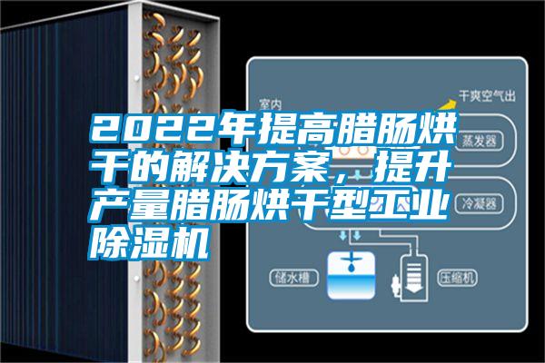 2022年提高臘腸烘干的解決方案，提升產量臘腸烘干型工業除濕機