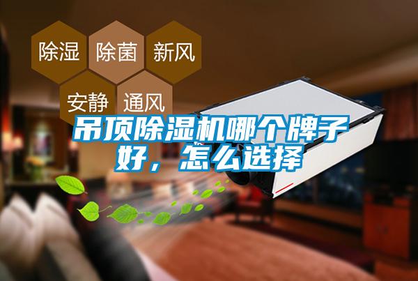 吊頂除濕機(jī)哪個(gè)牌子好,怎么選擇