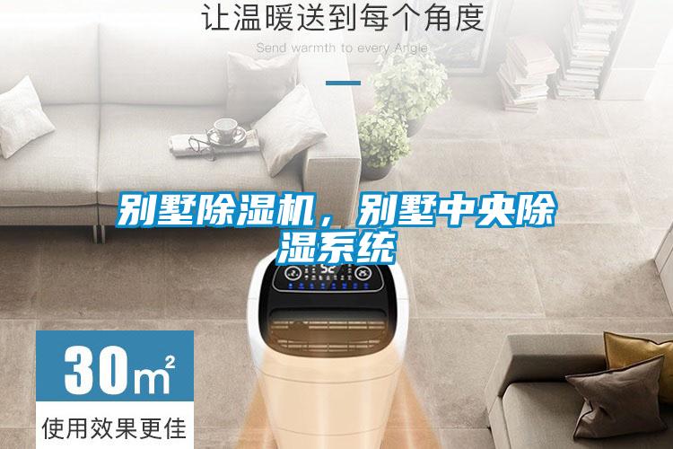 別墅除濕機,別墅中央除濕系統
