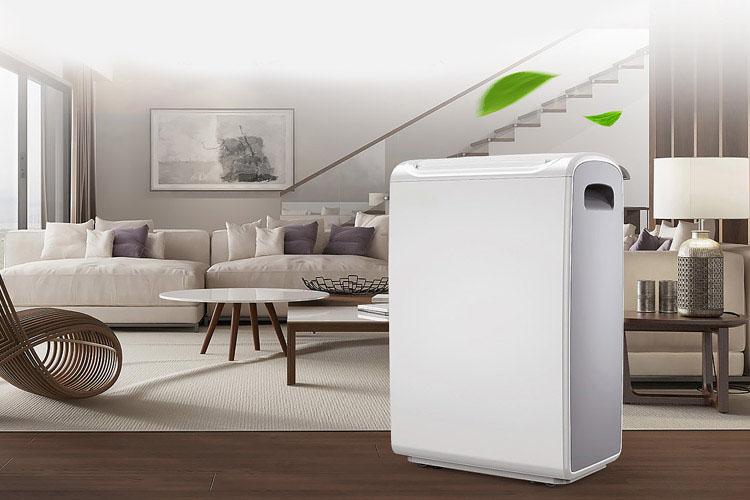 南方的回南天來了，除濕機派上用場，你知道除濕機如何除濕嗎？