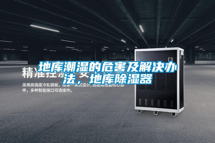 地庫(kù)潮濕的危害及解決辦法,地庫(kù)除濕器