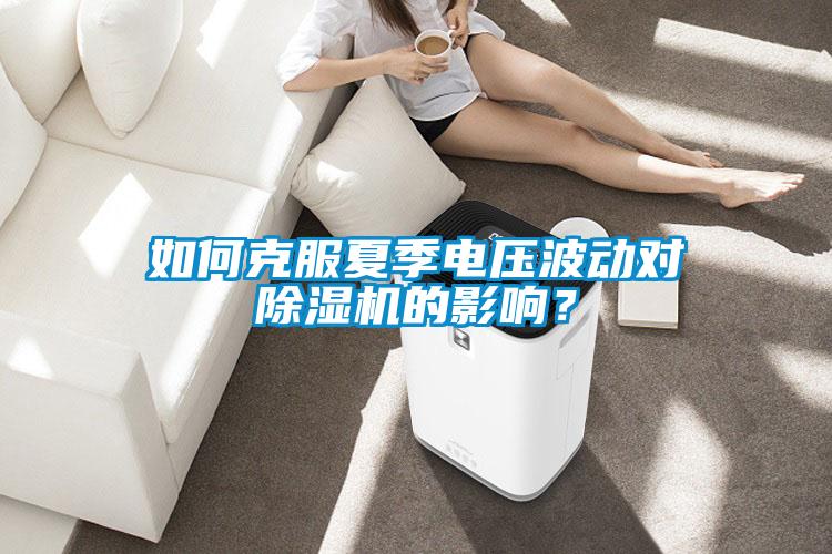 如何克服夏季電壓波動對除濕機的影響？