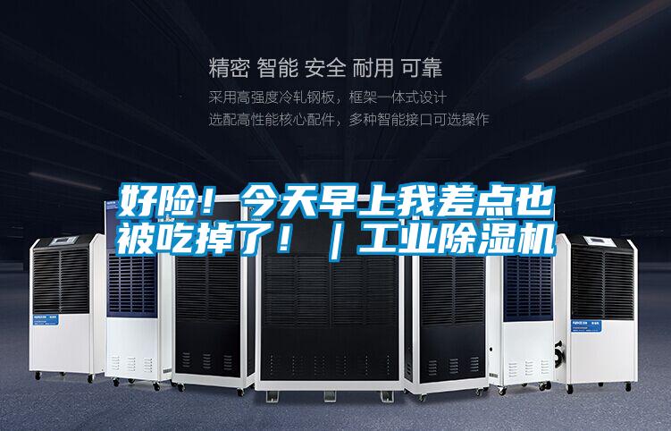 好險！今天早上我差點也被吃掉了！｜工業除濕機