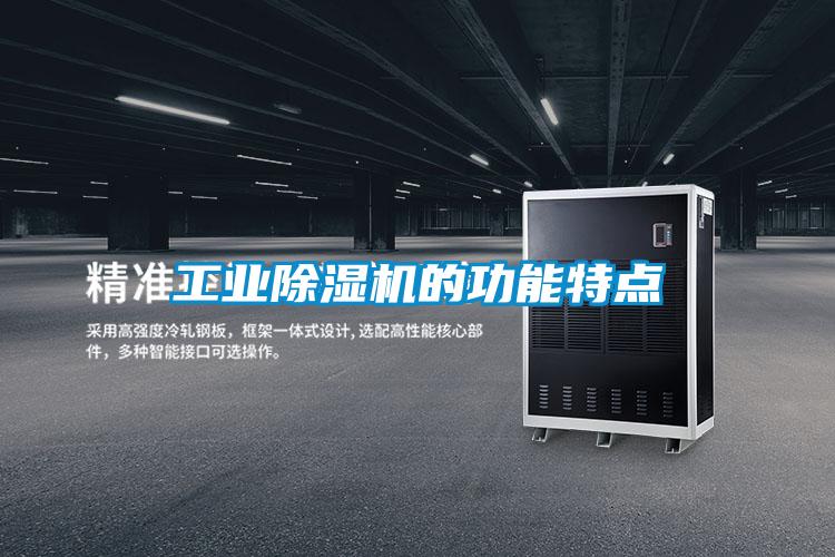 工業(yè)除濕機(jī)的功能特點