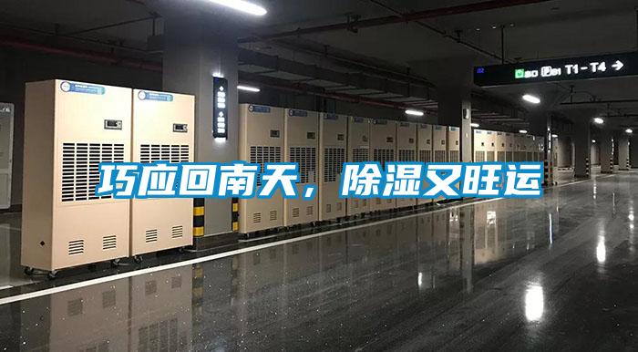 巧應回南天,除濕又旺運