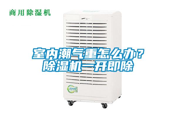 室內(nèi)潮氣重怎么辦?除濕機一開即除