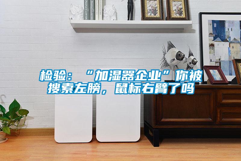 檢驗：“加濕器企業(yè)”你被搜索左膀，鼠標右臂了嗎
