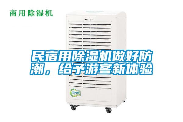 民宿用除濕機做好防潮，給予游客新體驗