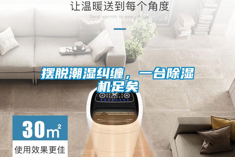 擺脫潮濕糾纏,一臺除濕機足矣