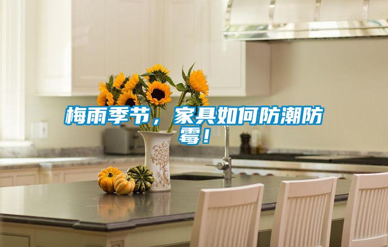 梅雨季節，家具如何防潮防霉！