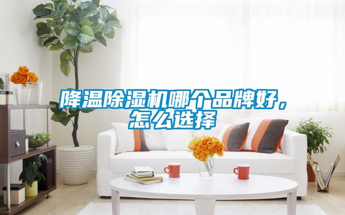 降溫除濕機(jī)哪個(gè)品牌好,怎么選擇