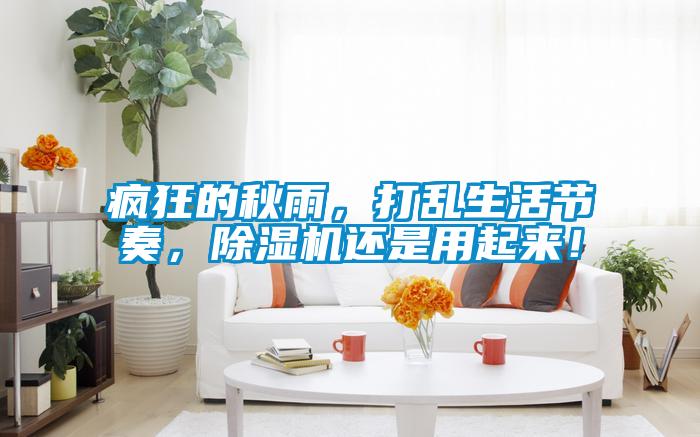 瘋狂的秋雨，打亂生活節(jié)奏，除濕機(jī)還是用起來(lái)！