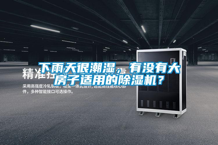 下雨天很潮濕,有沒有大房子適用的除濕機(jī)?