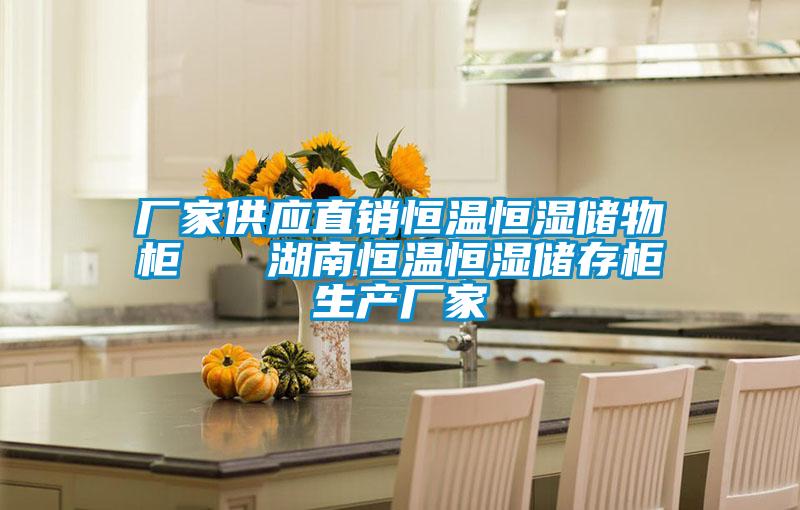 廠家供應(yīng)直銷恒溫恒濕儲物柜 湖南恒溫恒濕儲存柜生產(chǎn)廠家
