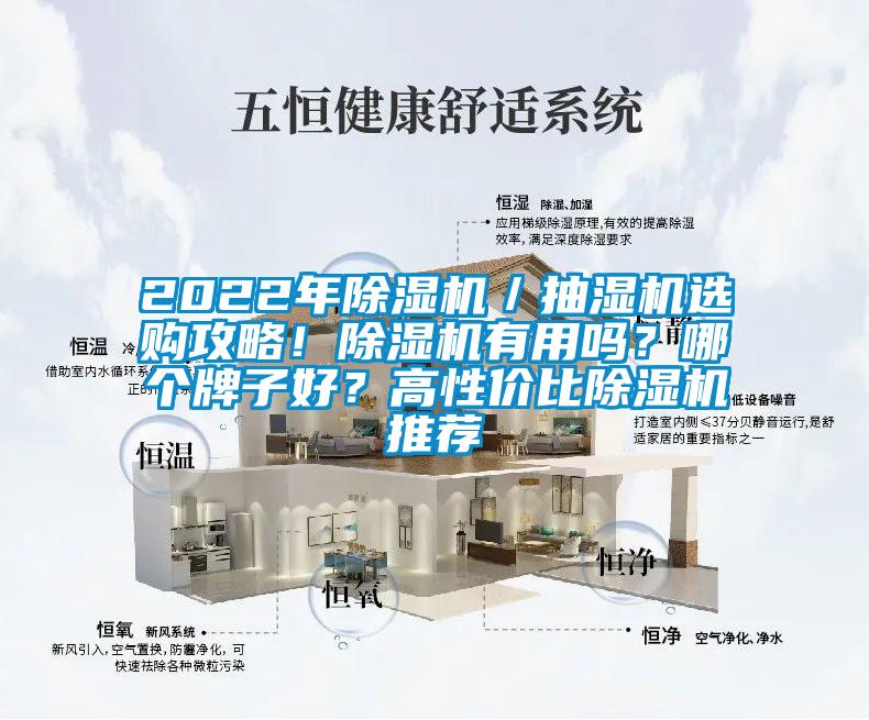 2022年除濕機／抽濕機選購攻略！除濕機有用嗎？哪個牌子好？高性價比除濕機推薦