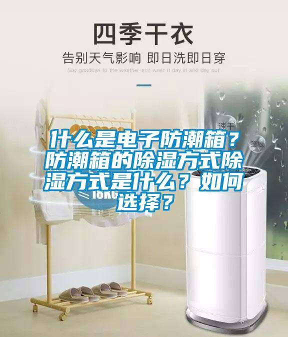 什么是電子防潮箱？防潮箱的除濕方式除濕方式是什么？如何選擇？