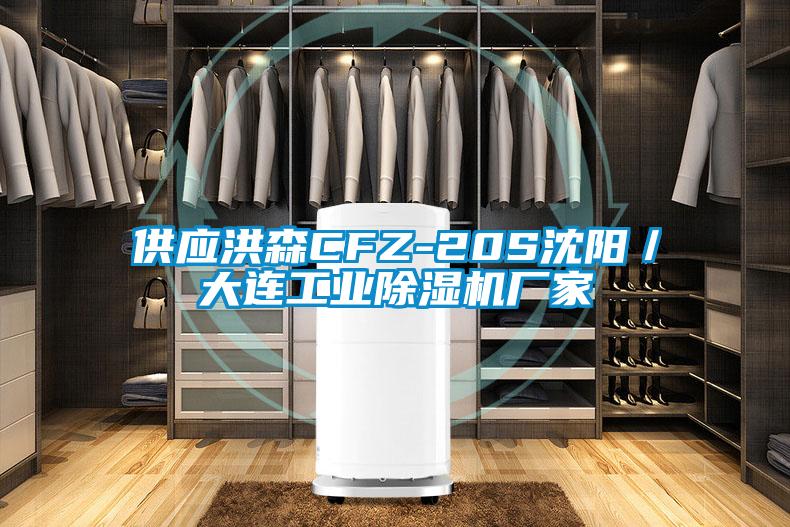 供應(yīng)洪森CFZ-20S沈陽/大連工業(yè)除濕機(jī)廠家
